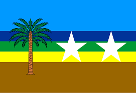 Bandera del Municipio Antonio Díaz