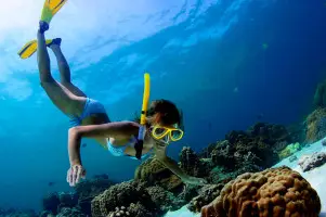 Imagen de persona buseando en la isla