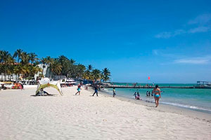 Imagen de la Playa