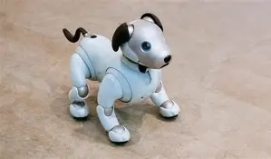 Imagen de un robot zoomórficos
